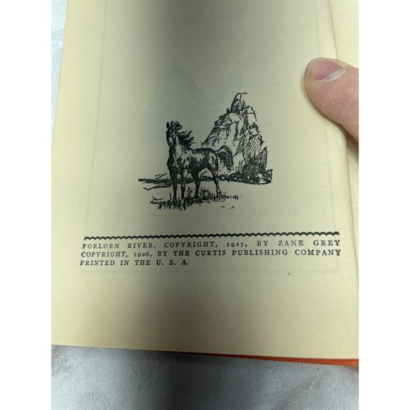 Forlorn River by Zane Grey Romance Grosset & Dunlap 1927 - Picture 5 of 5